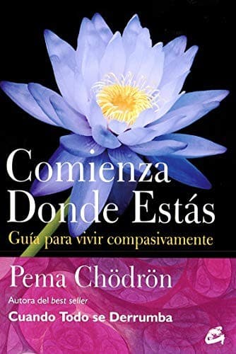 Cover image for Comienza donde estás
