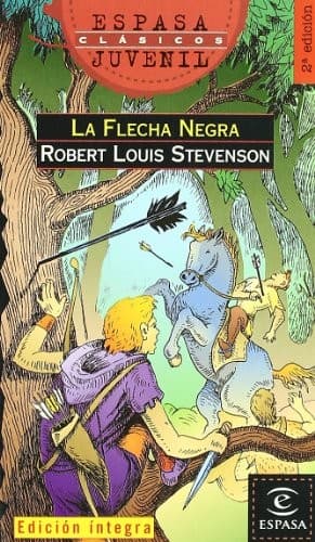 Cover image for La flecha negra