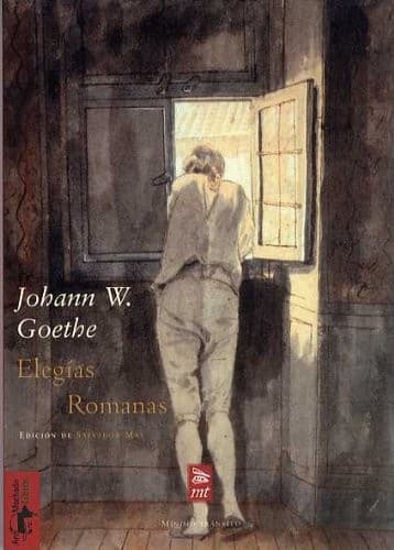 Cover image for Elegías romanas