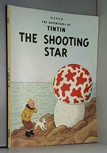 Cover image for The shooting star