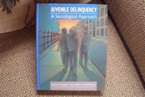 Cover image for Juvenile delinquency