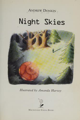 Cover image for Night Skies (Shivery Storybooks)
