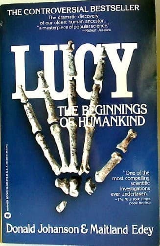 Cover image for Lucy