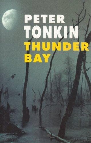 Cover image for Thunder Bay
