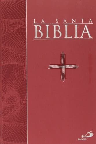 Cover image for La Santa Biblia