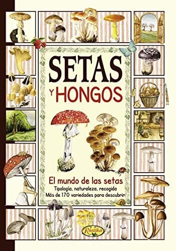 Cover image for Setas y hongos
