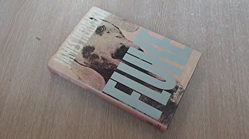 Cover image for Fluke