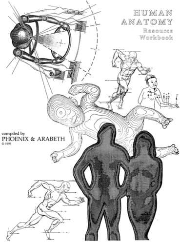 Cover image for Human Anatomy Resource Workbook