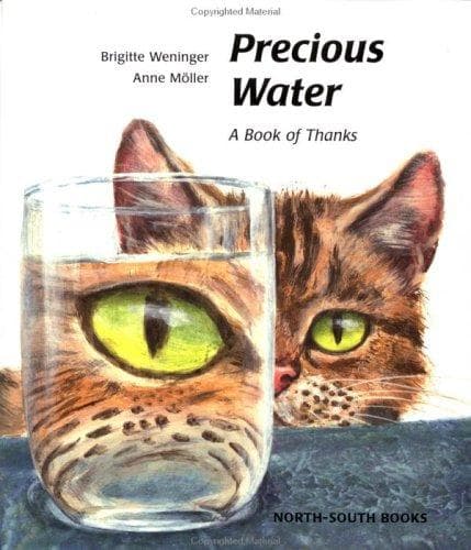 Cover image for Precious water