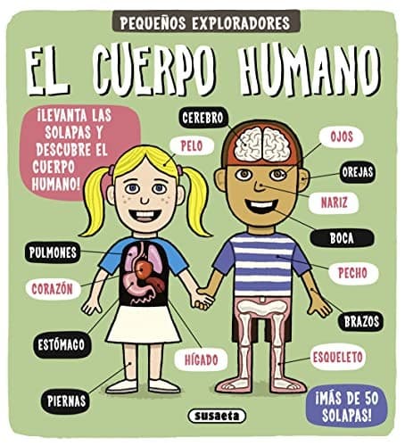 Cover image for El cuerpo humano