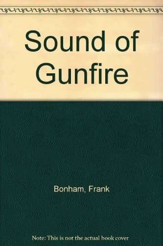Cover image for Sound of Gunfire
