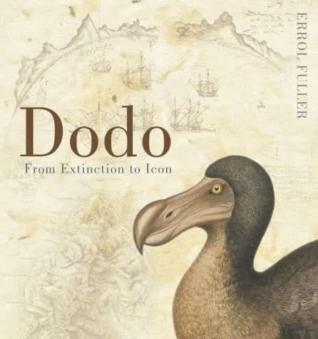 Cover image for Dodo