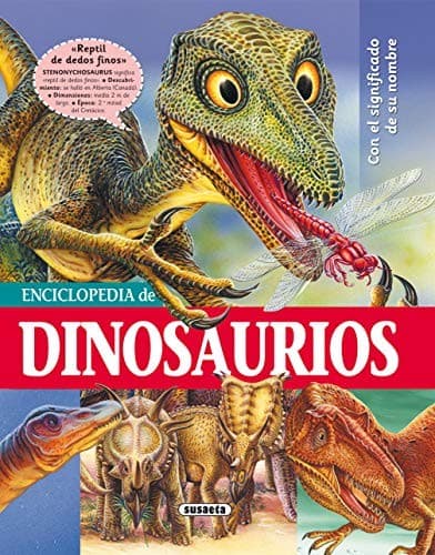 Cover image for Enciclopedia de dinosaurios