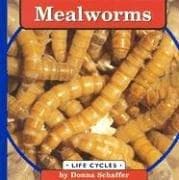 Cover image for Mealworms