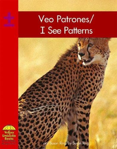 Cover image for I see patterns