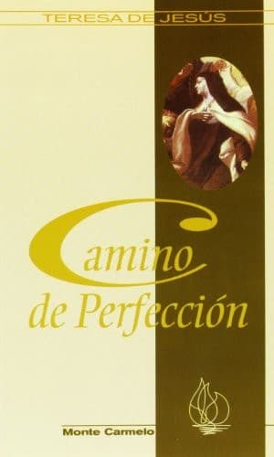 Cover image for Camino de Perfección