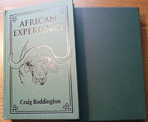 Cover image for African experience