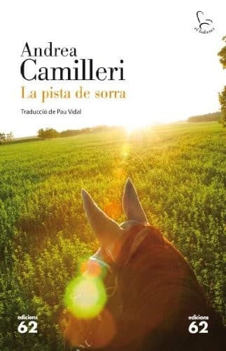 Cover image for La pista de sorra