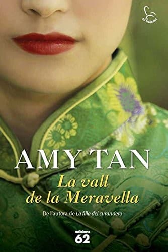Cover image for La vall de la Meravella
