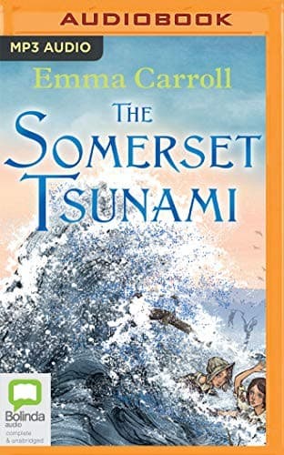 Cover image for The Somerset Tsunami