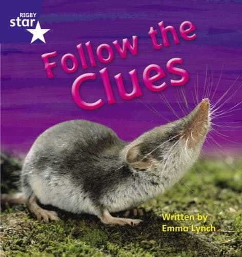 Cover image for Rigby Star Phonics Wave 2