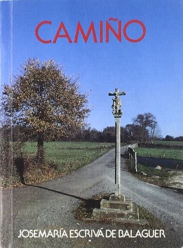 Cover image for Camiño.