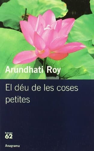 Cover image for El déu de les coses petites