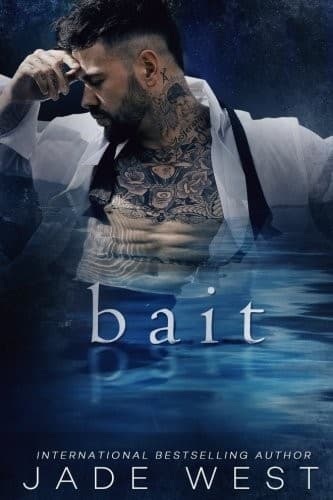 Cover image for Bait