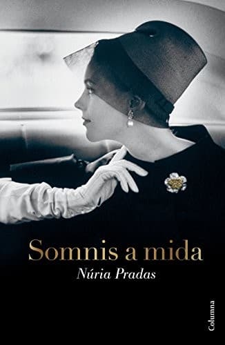 Cover image for Somnis a mida