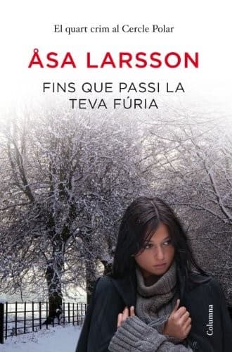 Cover image for Fins que passi la teva fúria