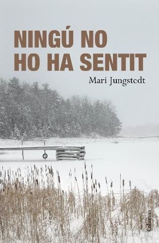 Cover image for Ningú no ho ha sentit
