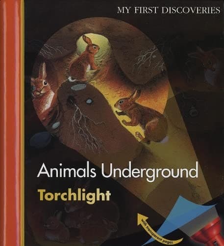 Cover image for Animales Desaparecidos