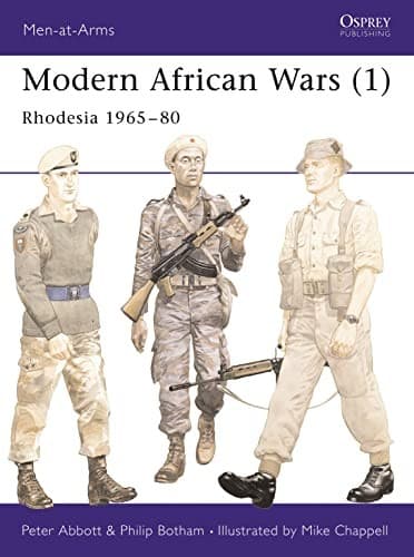 Cover image for Modern African wars