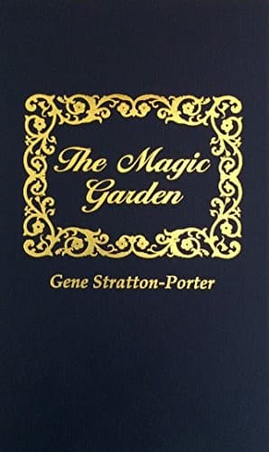 Cover image for The magic garden