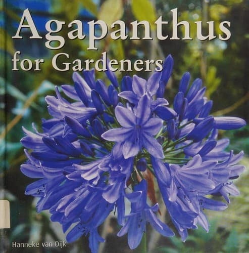 Cover image for Agapanthus for gardeners