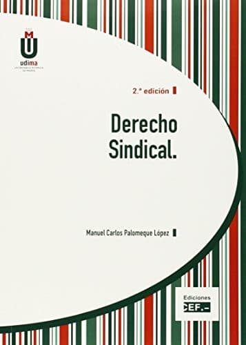 Cover image for Derecho sindical