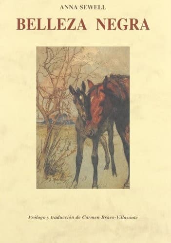 Cover image for Belleza negra