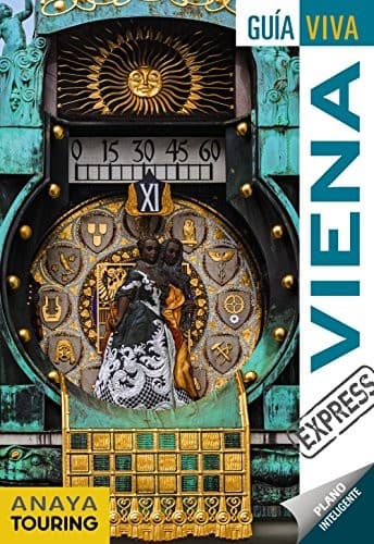 Cover image for Viena