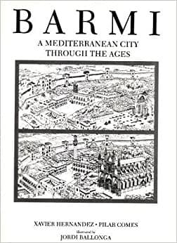 Cover image for Barmi