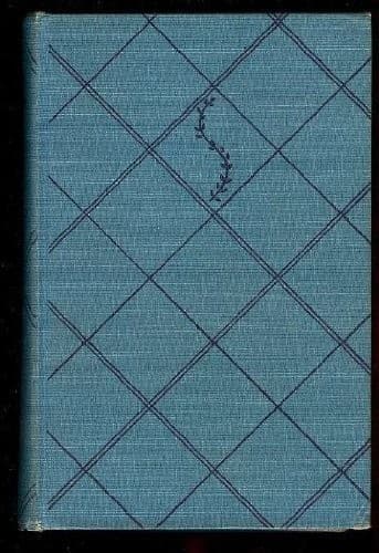 Cover image for The robe.