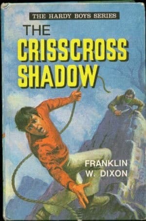 Cover image for The crisscross shadow