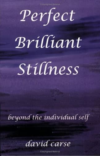 Cover image for Perfect brilliant stillness