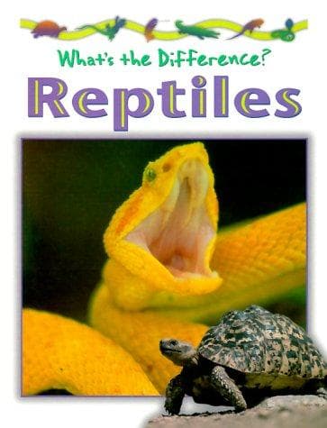 Cover image for Reptiles (What's the Difference?)