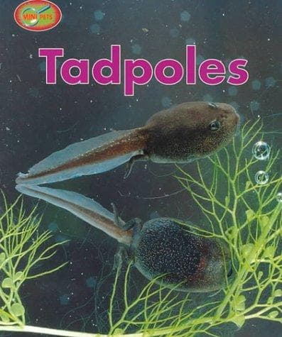 Cover image for Tadpoles (Minipets)