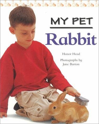Cover image for Rabbit (My Pet)