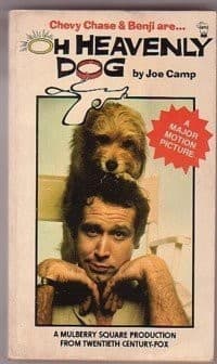 Cover image for Oh heavenly dog