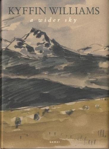 Cover image for A wider sky