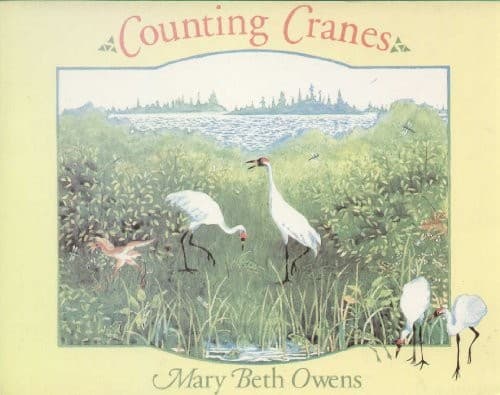 Cover image for Counting cranes