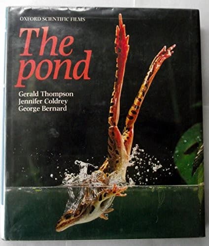 Cover image for Pond