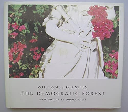 Cover image for The democratic forest